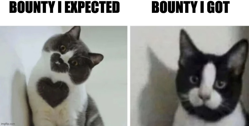 BOUNTY I EXPECTED; BOUNTY I GOT | made w/ Imgflip meme maker