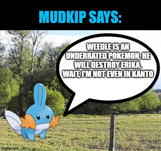 Mudkip Says | WEEDLE IS AN UNDERRATED POKEMON, HE WILL DESTROY ERIKA. WAIT, I'M NOT EVEN IN KANTO | image tagged in mudkip says | made w/ Imgflip meme maker