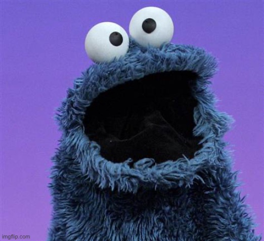 cookie monster | image tagged in cookie monster | made w/ Imgflip meme maker