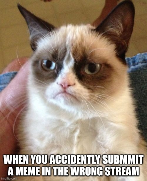 How often does this happen to you? :D | WHEN YOU ACCIDENTALLY SUBMIT A MEME IN THE WRONG STREAM | image tagged in memes,grumpy cat,pain,stream | made w/ Imgflip meme maker