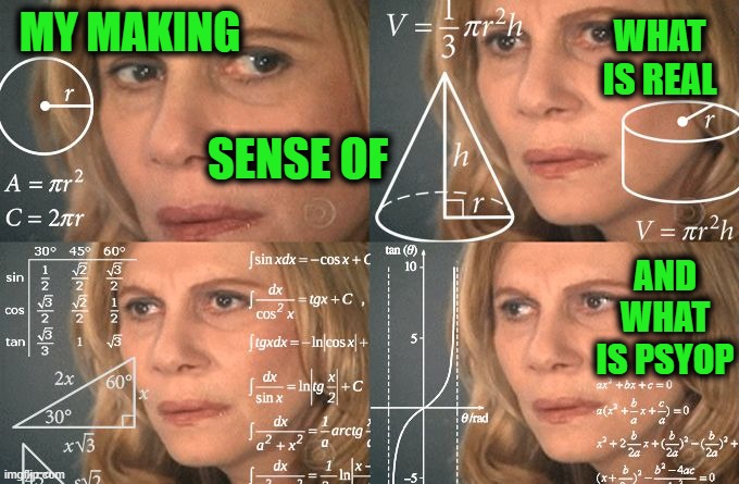 Today's Latest | MY MAKING; WHAT IS REAL; SENSE OF; AND WHAT IS PSYOP | image tagged in calculating meme | made w/ Imgflip meme maker