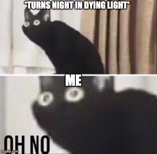 Pov:when it turns night in dying light | *TURNS NIGHT IN DYING LIGHT*; ME | image tagged in oh no cat | made w/ Imgflip meme maker