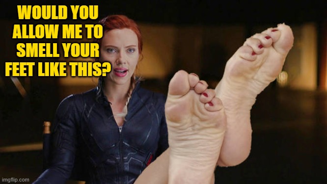 please, tell me (this would make me happy) | WOULD YOU ALLOW ME TO SMELL YOUR FEET LIKE THIS? | made w/ Imgflip meme maker