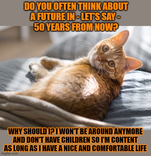 This #lolcat wonders what the future will look like if we all were selfish | DO YOU OFTEN THINK ABOUT
A FUTURE IN - LET'S SAY - 
50 YEARS FROM NOW? WHY SHOULD I? I WON'T BE AROUND ANYMORE
AND DON'T HAVE CHILDREN SO I'M CONTENT
AS LONG AS I HAVE A NICE AND COMFORTABLE LIFE | image tagged in lolcat,think about it,selfishness,future | made w/ Imgflip meme maker