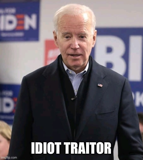 Joezo biden idiot traitor | IDIOT TRAITOR | image tagged in joezo biden idiot traitor | made w/ Imgflip meme maker