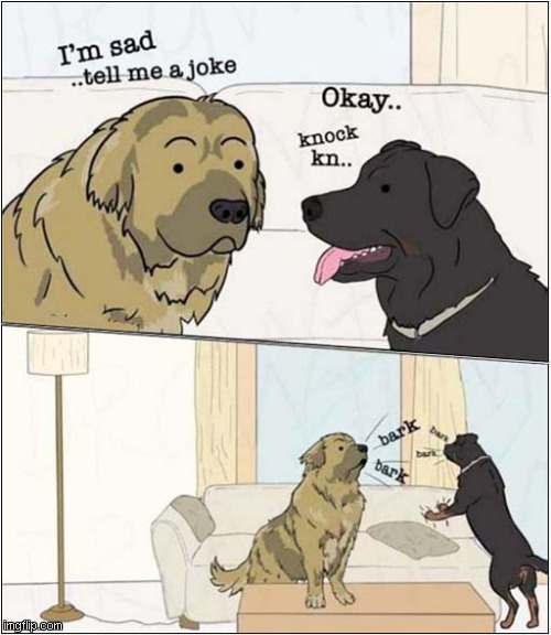 They Can't Help It ! | image tagged in dogs,knock knock,barking | made w/ Imgflip meme maker