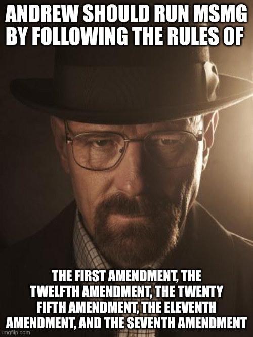 Walter White | ANDREW SHOULD RUN MSMG BY FOLLOWING THE RULES OF; THE FIRST AMENDMENT, THE TWELFTH AMENDMENT, THE TWENTY FIFTH AMENDMENT, THE ELEVENTH AMENDMENT, AND THE SEVENTH AMENDMENT | image tagged in walter white | made w/ Imgflip meme maker