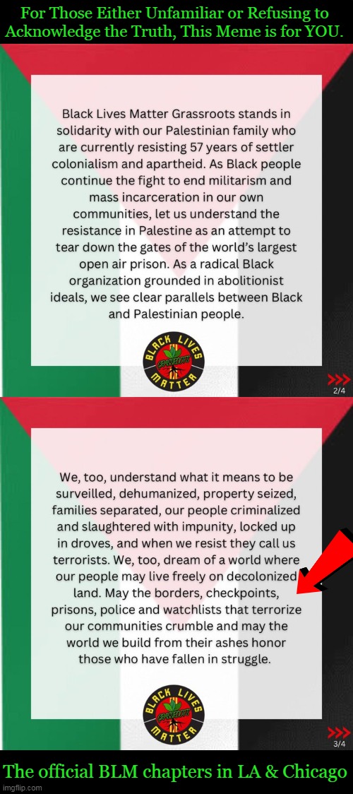 BLM, like Antifa, has long expressed support for Palestinian terrorism in the name of "de-colonialism" and fighting capitalism.  | For Those Either Unfamiliar or Refusing to 
Acknowledge the Truth, This Meme is for YOU. The official BLM chapters in LA & Chicago | image tagged in politics,blm,black lives matter,statement,what if i told you,public service announcement | made w/ Imgflip meme maker