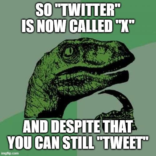 it doesn't make sense | SO "TWITTER" IS NOW CALLED "X"; AND DESPITE THAT YOU CAN STILL "TWEET" | image tagged in memes,philosoraptor,twitter | made w/ Imgflip meme maker