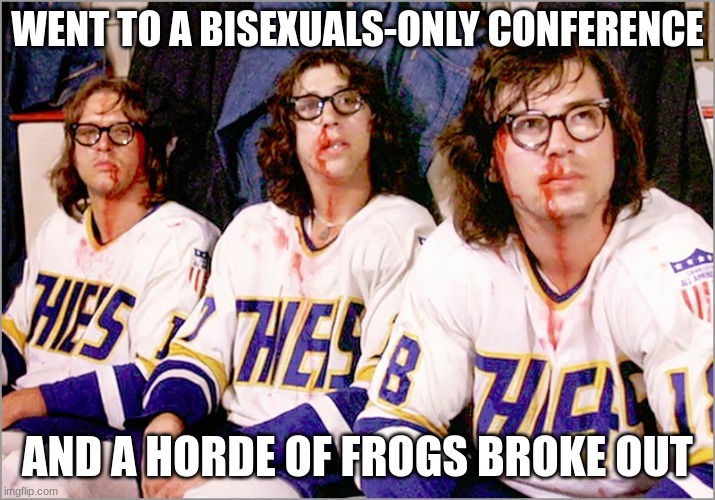 Reply if you're both LGBTQIA+ and a hockey fan | WENT TO A BISEXUALS-ONLY CONFERENCE; AND A HORDE OF FROGS BROKE OUT | image tagged in went to a fight and a hockey game broke out,bisexual,lgbtq,hockey,ice hockey,dank memes | made w/ Imgflip meme maker