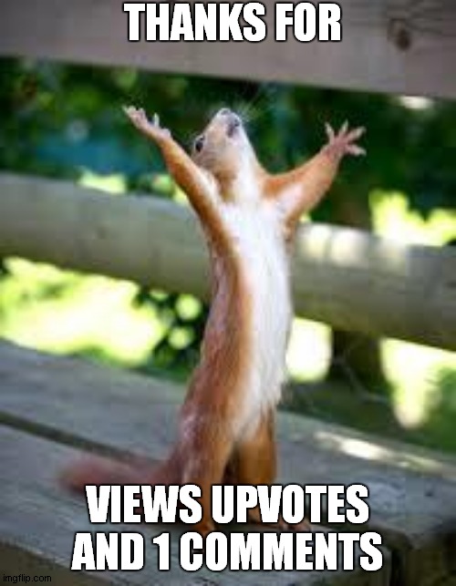 ?  | THANKS FOR; VIEWS UPVOTES AND 1 COMMENTS | image tagged in praise squirrel | made w/ Imgflip meme maker