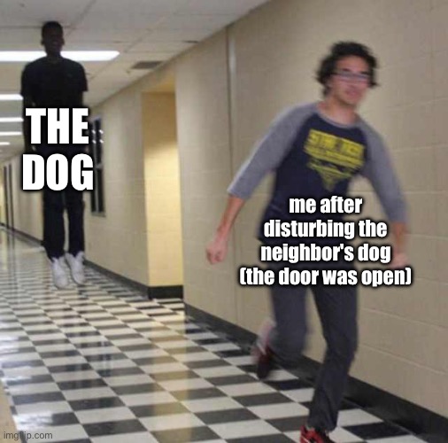 Dog | THE DOG; me after disturbing the neighbor's dog (the door was open) | image tagged in floating boy chasing running boy | made w/ Imgflip meme maker