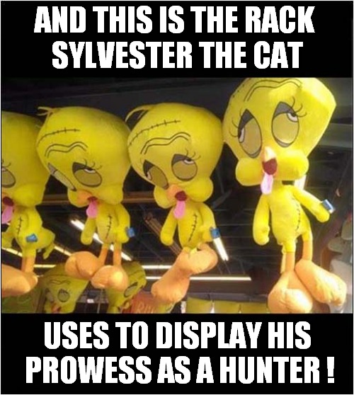 Dead Tweety Birds ! | AND THIS IS THE RACK 
SYLVESTER THE CAT; USES TO DISPLAY HIS
 PROWESS AS A HUNTER ! | image tagged in sylvester the cat,dead,tweety bird,dark humour | made w/ Imgflip meme maker