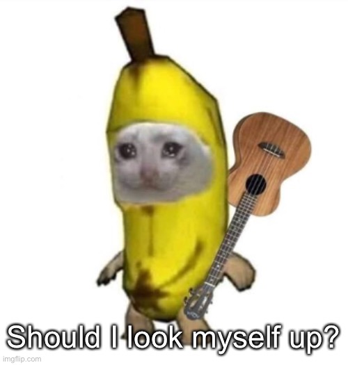 Banan | Should I look myself up? | image tagged in banan | made w/ Imgflip meme maker