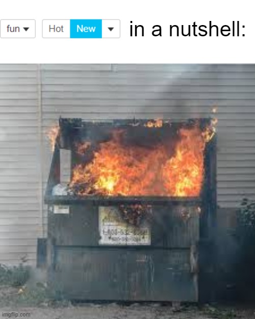 fun new is a dumpster fire | in a nutshell: | image tagged in dumpster fire | made w/ Imgflip meme maker