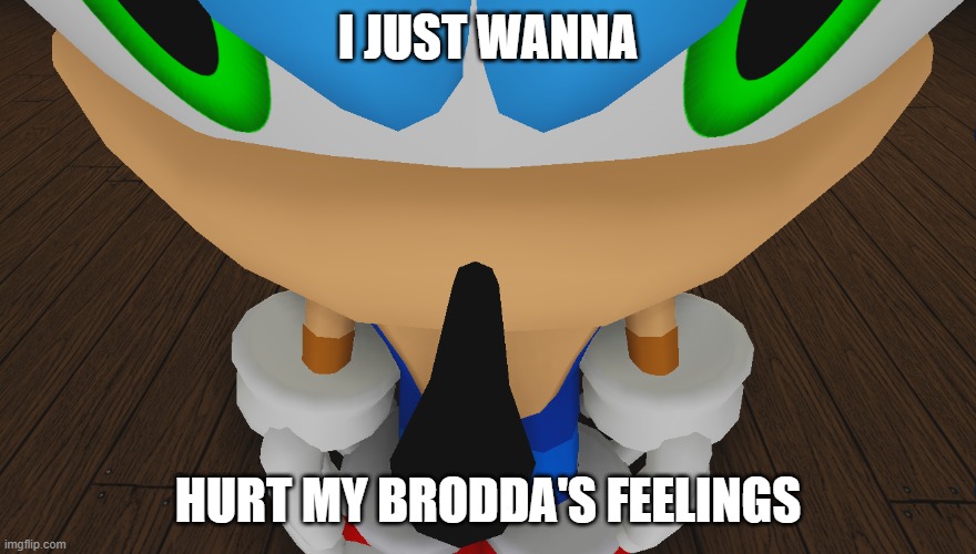 sonic being sonic | I JUST WANNA HURT MY BRODDA'S FEELINGS | image tagged in sonic being sonic | made w/ Imgflip meme maker
