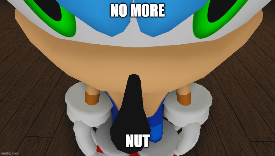 sonic being sonic | NO MORE NUT | image tagged in sonic being sonic | made w/ Imgflip meme maker