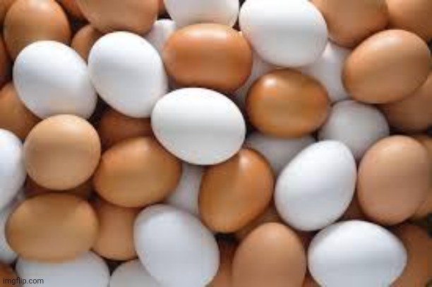 eggs | image tagged in eggs | made w/ Imgflip meme maker