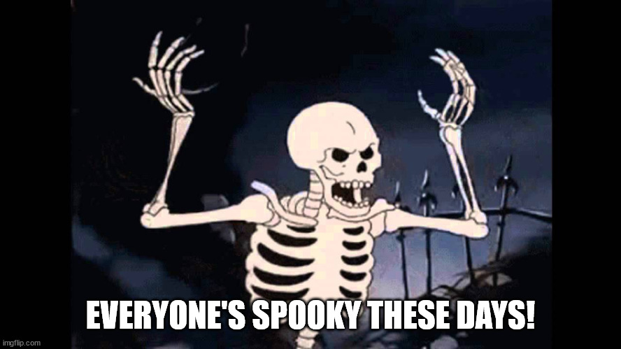 Spooky Skeleton | EVERYONE'S SPOOKY THESE DAYS! | image tagged in spooky skeleton | made w/ Imgflip meme maker