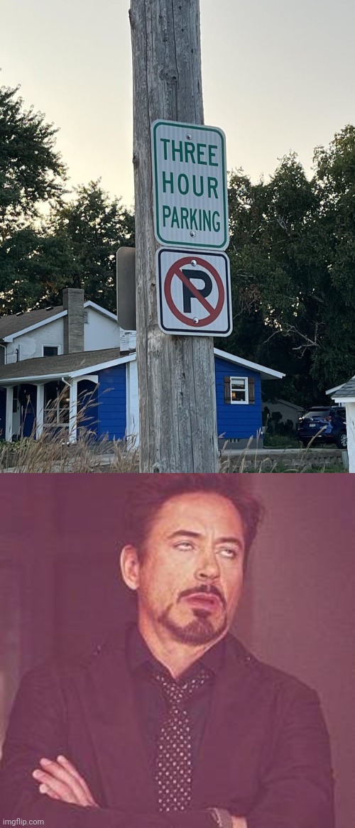 Three hour parking and no parking sign | image tagged in ironman eyeroll,no parking,sign,you had one job,parking,memes | made w/ Imgflip meme maker