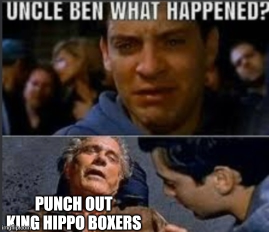 If you dont get this image check the comments | PUNCH OUT KING HIPPO BOXERS | image tagged in uncle ben what happened | made w/ Imgflip meme maker