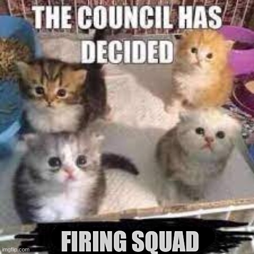 the council has decided | FIRING SQUAD | image tagged in the council has decided | made w/ Imgflip meme maker