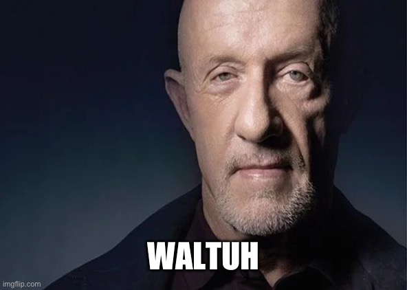Waltuh | WALTUH | image tagged in waltuh | made w/ Imgflip meme maker