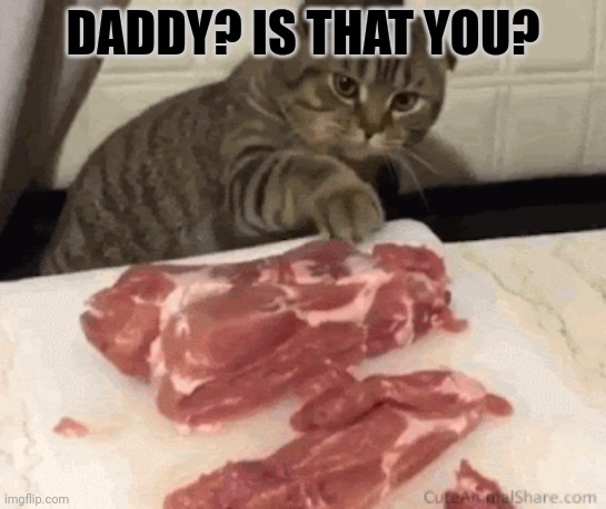 DADDY? IS THAT YOU? | made w/ Imgflip meme maker