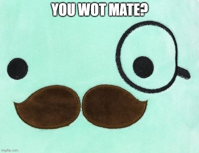 wot | YOU WOT MATE? | image tagged in wot | made w/ Imgflip meme maker