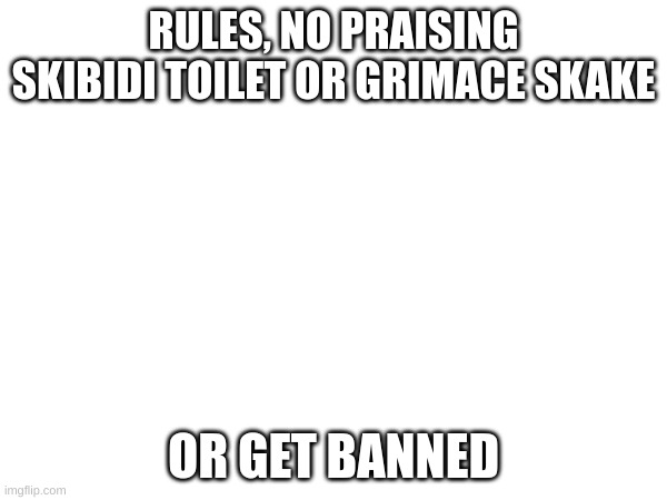 rules | RULES, NO PRAISING SKIBIDI TOILET OR GRIMACE SKAKE; OR GET BANNED | image tagged in no skibidi toilet,no grimace shake | made w/ Imgflip meme maker