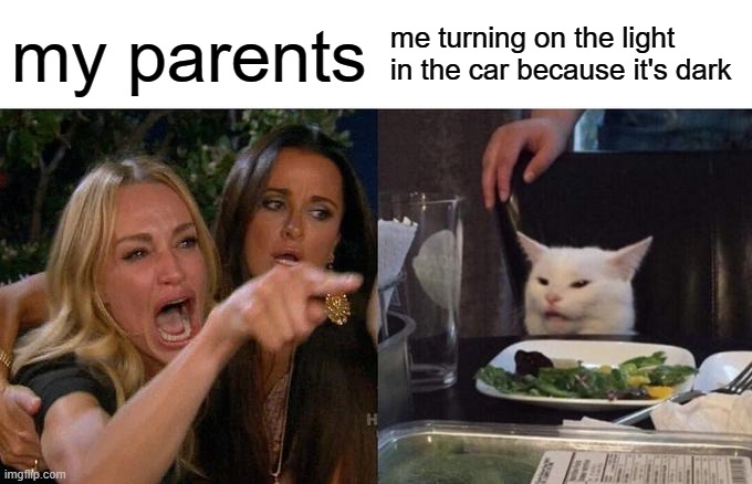 title 4 | my parents; me turning on the light in the car because it's dark | image tagged in memes,woman yelling at cat,funny,relateable | made w/ Imgflip meme maker