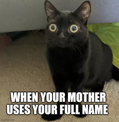 black cat oh no V2 | WHEN YOUR MOTHER USES YOUR FULL NAME | image tagged in black cat oh no v2 | made w/ Imgflip meme maker