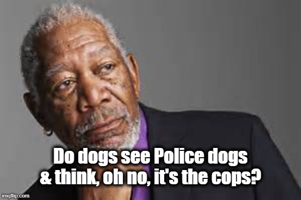 Deep Thoughts | Do dogs see Police dogs & think, oh no, it's the cops? | image tagged in deep thoughts by morgan freeman,police,dogs,cops,funny | made w/ Imgflip meme maker