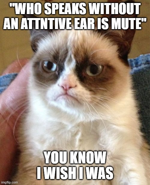 those damm schools | "WHO SPEAKS WITHOUT AN ATTNTIVE EAR IS MUTE"; YOU KNOW I WISH I WAS | image tagged in memes,grumpy cat,words of wisdom,school | made w/ Imgflip meme maker