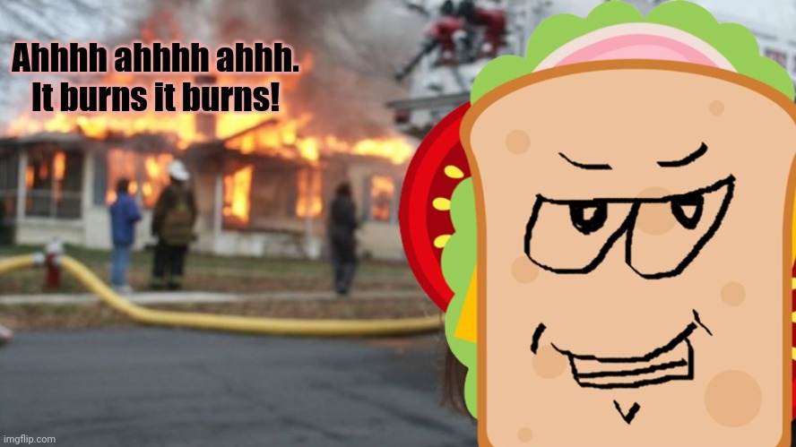 But why? Why would you do that? | Ahhhh ahhhh ahhh. It burns it burns! | image tagged in attack,sandwich | made w/ Imgflip meme maker
