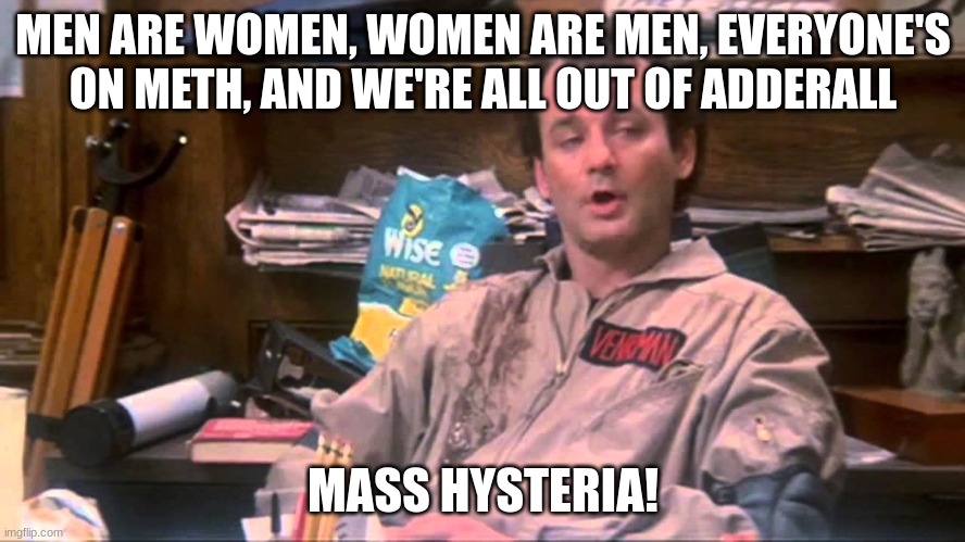 Mass Hysteria! | MEN ARE WOMEN, WOMEN ARE MEN, EVERYONE'S ON METH, AND WE'RE ALL OUT OF ADDERALL; MASS HYSTERIA! | image tagged in venkman | made w/ Imgflip meme maker