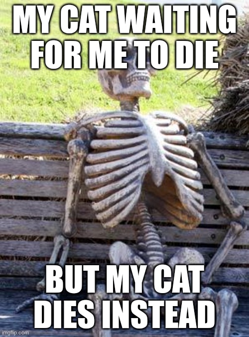 Waiting | MY CAT WAITING FOR ME TO DIE; BUT MY CAT DIES INSTEAD | image tagged in memes,waiting skeleton | made w/ Imgflip meme maker
