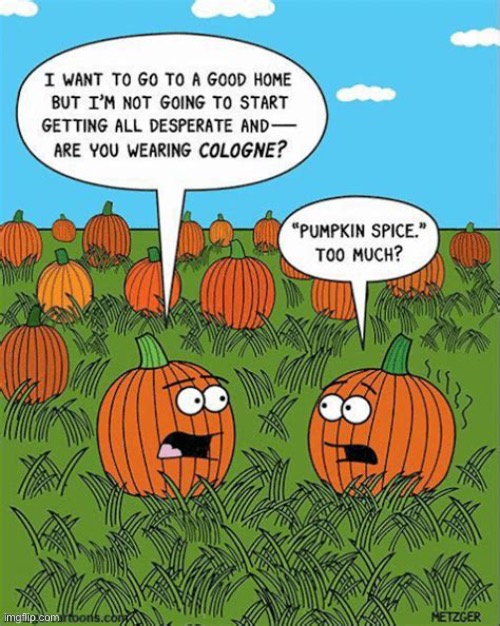 maybe a little too much | image tagged in funny,cartoon,pumpkin,patch,fall season | made w/ Imgflip meme maker