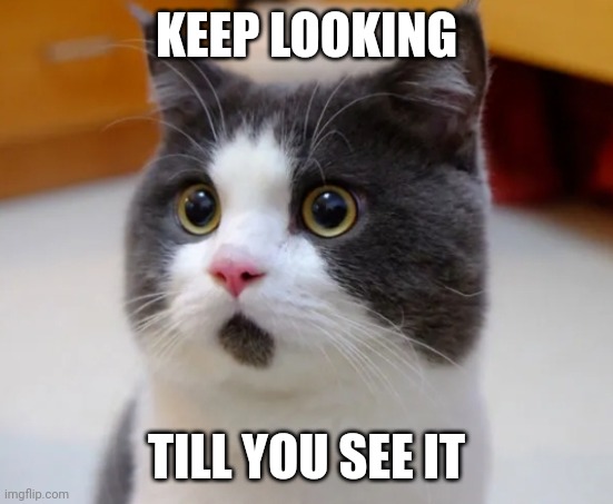 Lol do you see it | KEEP LOOKING; TILL YOU SEE IT | image tagged in memes | made w/ Imgflip meme maker