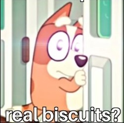 High Quality Real Biscuits? Blank Meme Template