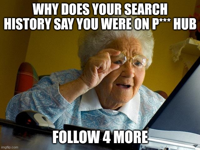 follow if this is relateable | WHY DOES YOUR SEARCH HISTORY SAY YOU WERE ON P*** HUB? FOLLOW 4 MORE | image tagged in memes,grandma finds the internet | made w/ Imgflip meme maker