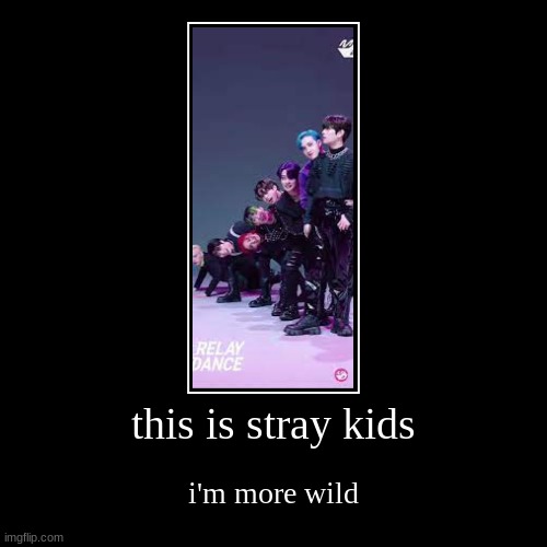 stray kids much | this is stray kids | i'm more wild | image tagged in funny,demotivationals | made w/ Imgflip demotivational maker
