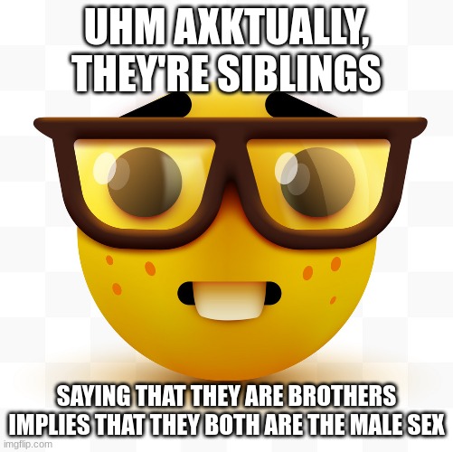 Nerd emoji | UHM AXKTUALLY, THEY'RE SIBLINGS SAYING THAT THEY ARE BROTHERS IMPLIES THAT THEY BOTH ARE THE MALE SEX | image tagged in nerd emoji | made w/ Imgflip meme maker