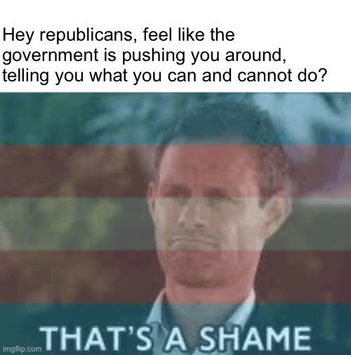Silly republicans | Hey republicans, feel like the government is pushing you around, telling you what you can and cannot do? | image tagged in lgbtq,politics,democrat,protest | made w/ Imgflip meme maker