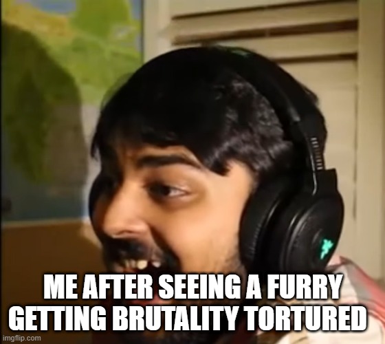 NO FURRYS WILL BE ALIVE | ME AFTER SEEING A FURRY GETTING BRUTALITY TORTURED | image tagged in mutahar laughing | made w/ Imgflip meme maker