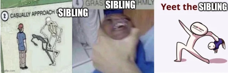 Casually Approach Child, Grasp Child Firmly, Yeet the Child | SIBLING SIBLING SIBLING | image tagged in casually approach child grasp child firmly yeet the child | made w/ Imgflip meme maker