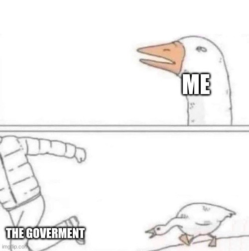 Goose Chase | ME; THE GOVERMENT | image tagged in goose chase,government corruption | made w/ Imgflip meme maker