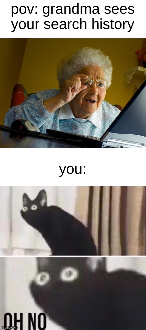 why?! | pov: grandma sees your search history; you: | image tagged in memes,grandma finds the internet,oh no cat,search history | made w/ Imgflip meme maker
