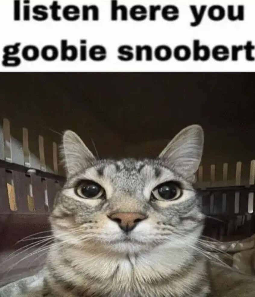 High Quality listen here you goobie snoobert Blank Meme Template