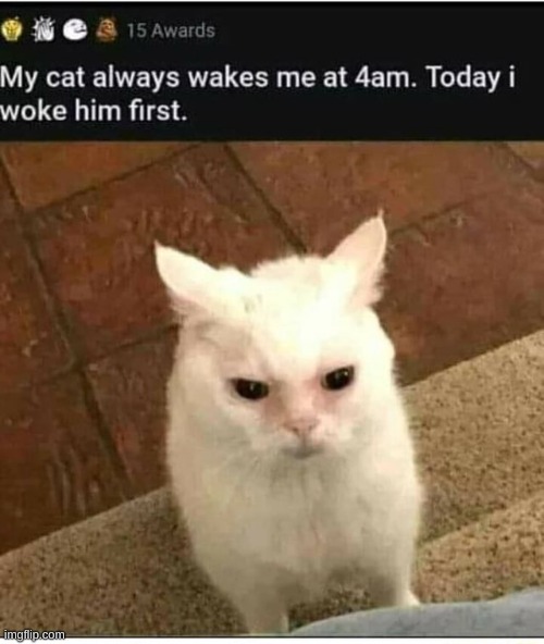 5 | made w/ Imgflip meme maker